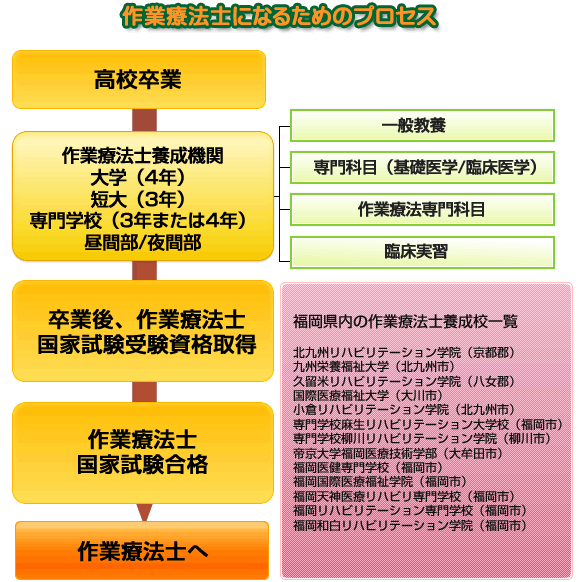 作業療法士になるには 福岡県作業療法協会